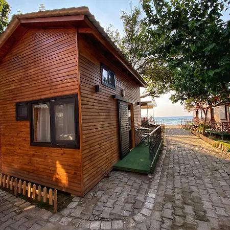 Lazoglu *