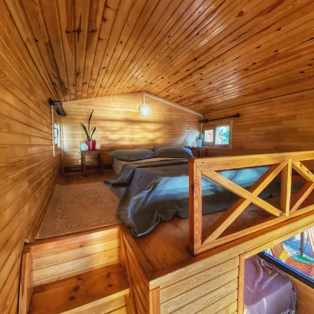 Lazoglu グゼルカミル