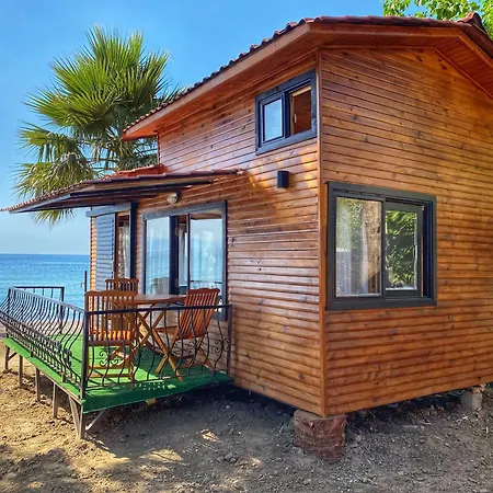 Lazoglu * グゼルカミル